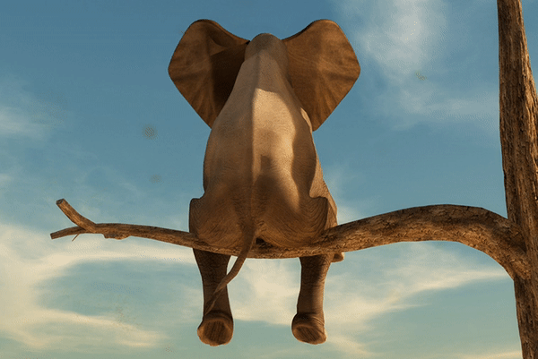 Bluewater animated elephant