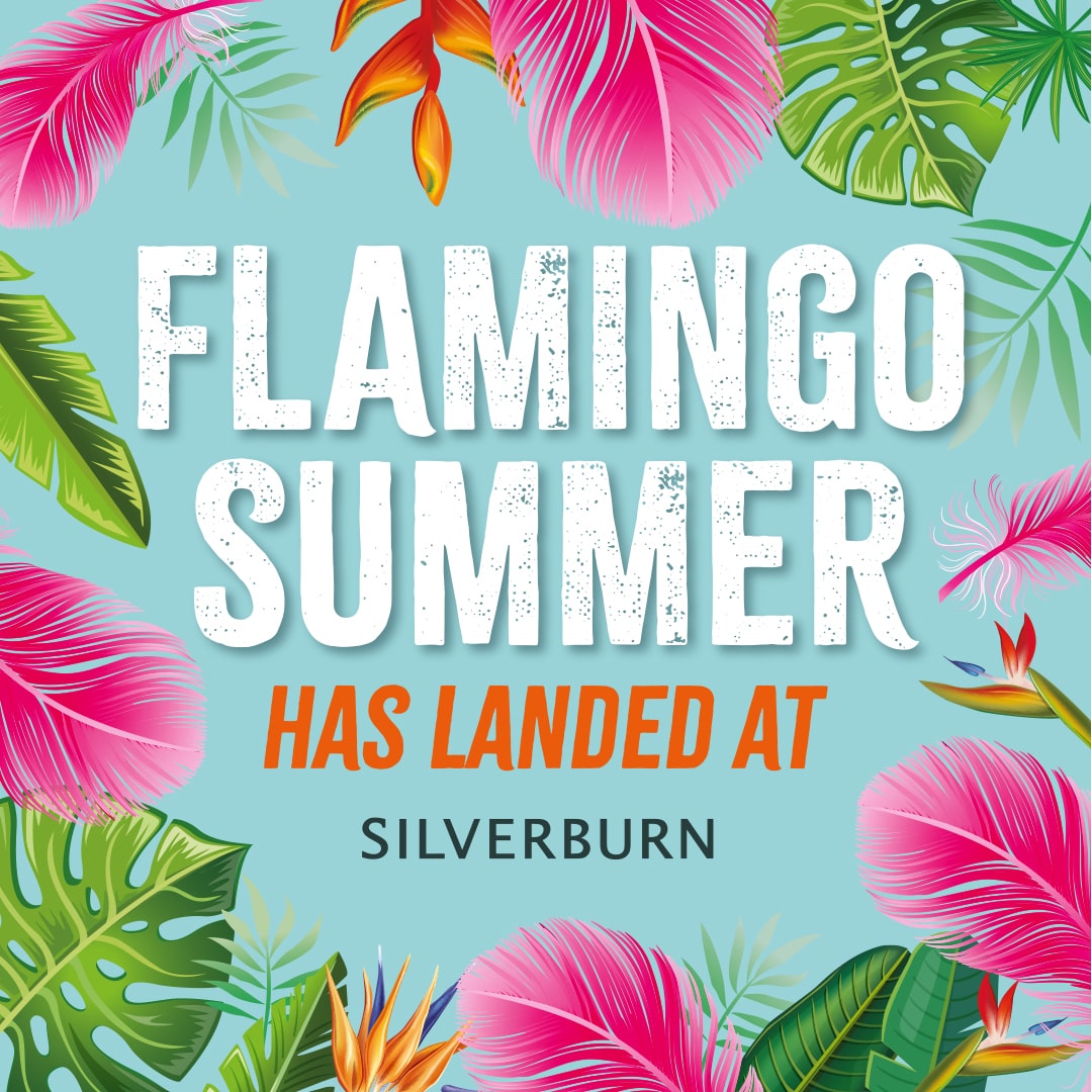 Blue background with pink feathers and green leaves. White text reads flamingo summer has landed at Silverburn